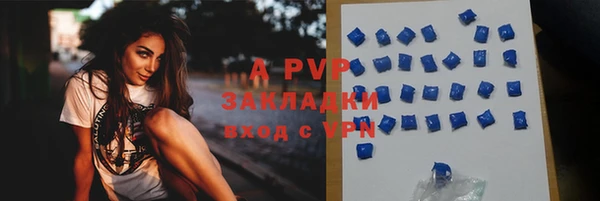 спиды Покачи